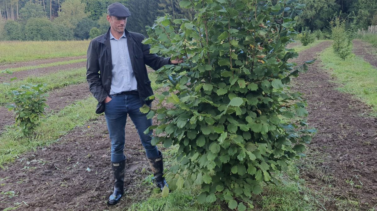 Lanýžový byznys přichází do Česka. Nahrává mu změna klimatu